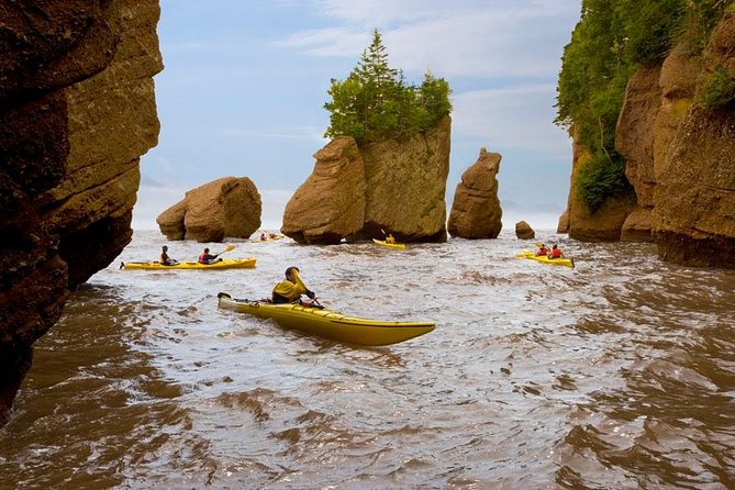 Hopewell Rocks Admission - Why Hopewell Rocks changes by the hour
