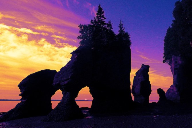 Hopewell Rocks Admission - The walking tour and interpretive center