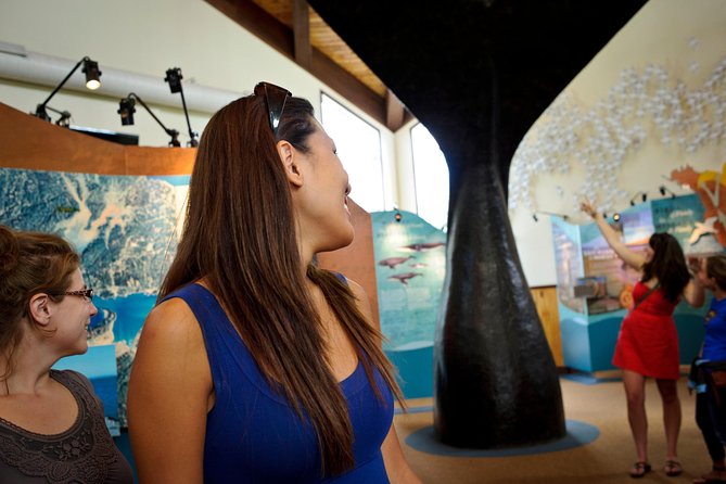 Hopewell Rocks Admission - Value of the admission ticket