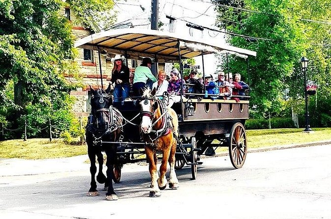 Horse Drawn Historical Guided Tour - St. Dunstan’s Basilica and the city’s Catholic heritage