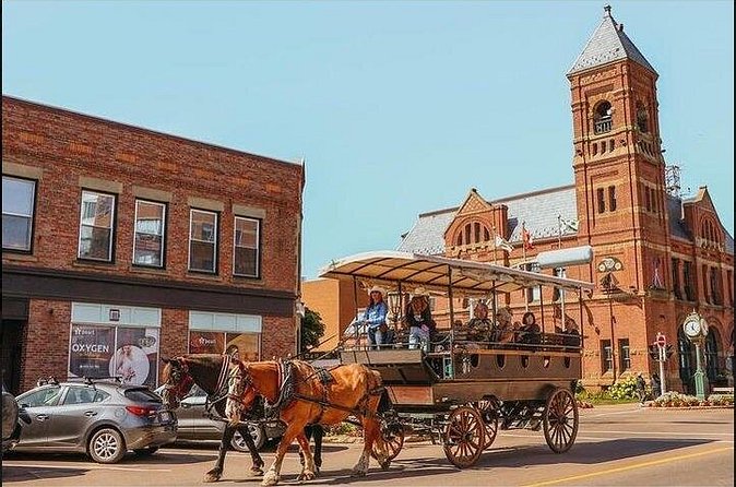 Horse Drawn Historical Guided Tour - What the guides add to the ride