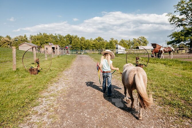 Humberstone Ranch Visit with Mini Domestic Animals - The guides make the hour feel personal