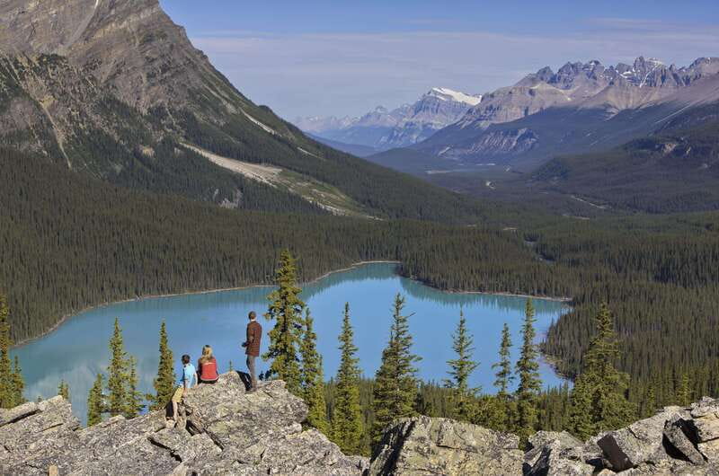 Icefield: Icefield Parkway, Bow Lakes & Peyto Lakes Day Tour - Why the Icefields Parkway makes this a strong day trip