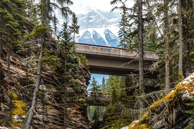 Icefields Parkway: a Smartphone Audio Driving Tour - Columbia Icefields and the road’s big moments