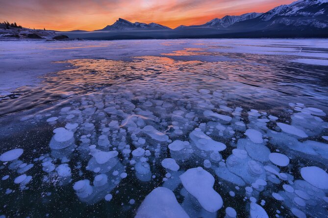 Icefields Parkway and Ice Bubbles of Abraham Lake Adventure - What the Guide Adds to the Experience