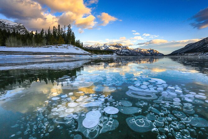 Icefields Parkway and Ice Bubbles of Abraham Lake Adventure - Is $196.40 a Fair Price?