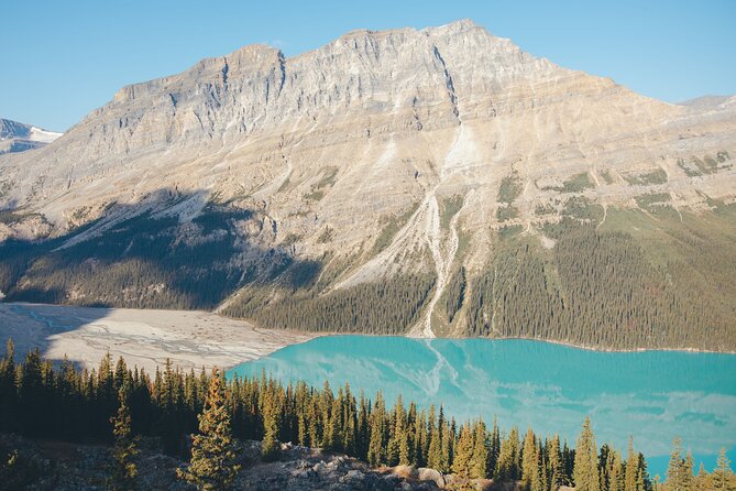 Icefields Parkway Experience - How the guides shape the day