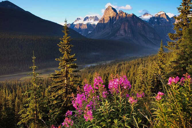 Icefields Parkway Self-Guided Driving Audio Tour - Price, flexibility, and the small catches
