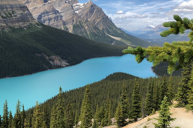Icefields Pkwy: Lake Louise | Bow | Peyto|Glacier - PRIVATE TOUR - Peyto Lake offers the signature color