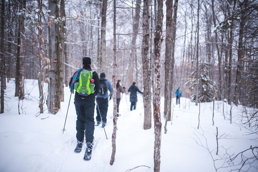 Jacques-Cartier National Park: Skiing Excursion - Why ski-shoeing works for beginners
