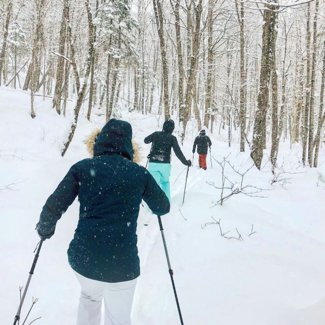 Jacques-Cartier National Park: Skiing Excursion - Quiet trails and winter forest views