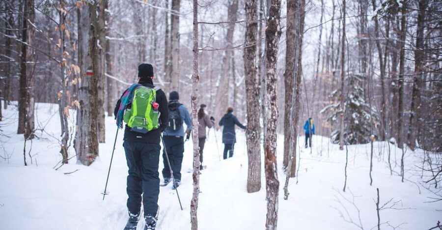 Jacques-Cartier National Park: Skiing Excursion - Snow is part of the booking decision