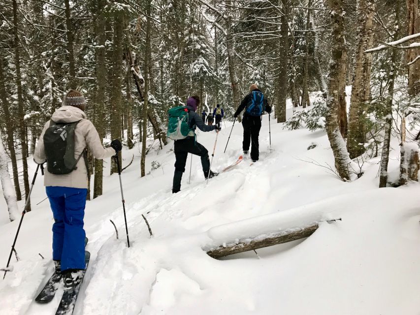 Jacques-Cartier National Park: Skiing Excursion - Who will enjoy this most