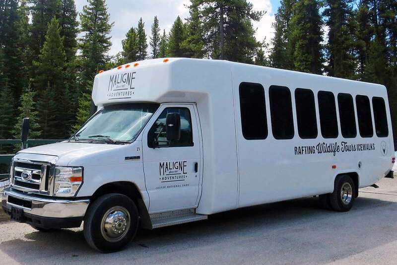 Jasper National Park: Evening or Morning Wildlife Watch Tour - How the coach affects the experience