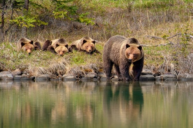 Jasper National Park Tour Maligne Valley, Medicine Lake with Walk - What the six-hour schedule really gives you