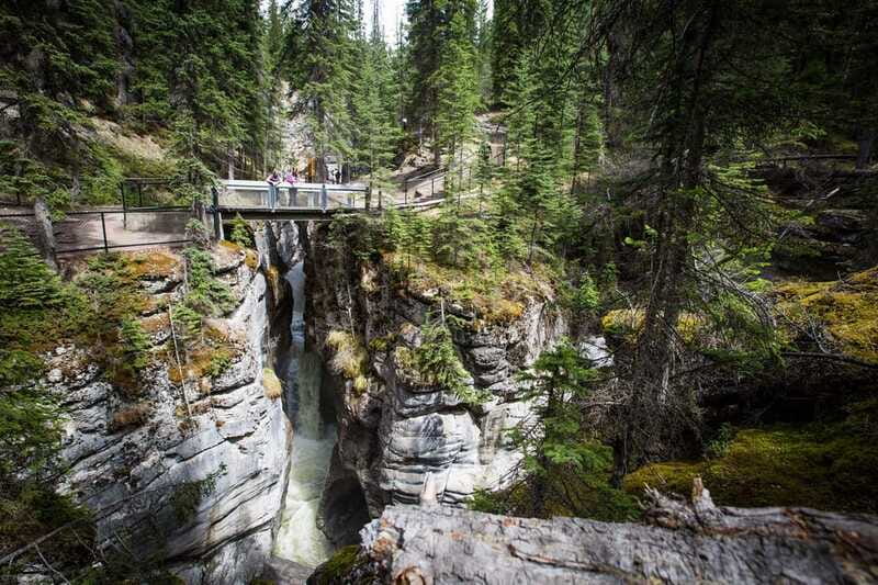 Jasper: Sightseeing Tour with Maligne Lake Cruise - What $181 buys you
