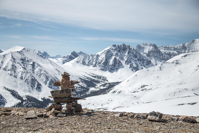 Jasper SkyTram - Wildlife and the character of the high country