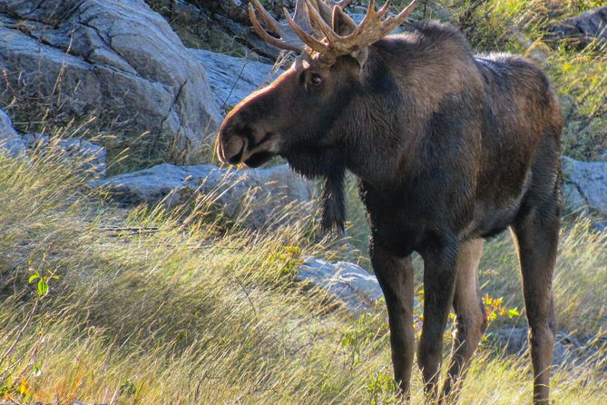 Jasper to Banff One-Way Tour - The Columbia Icefield Discovery Centre