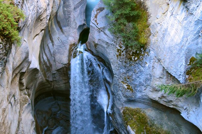Jasper Wildlife and Sightseeing Tour with Maligne Lake Hike - Six hours through the Maligne Valley