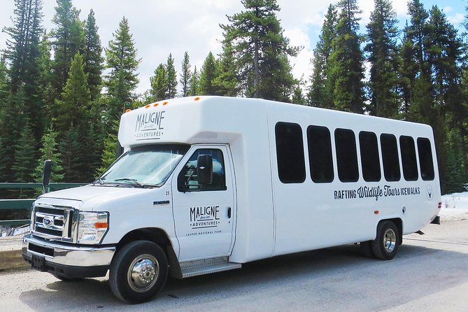 Jasper Wildlife and Sightseeing Tour with Maligne Lake Hike - Guides are the heart of the experience
