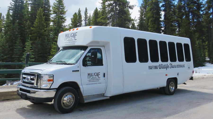Jasper: Wildlife and Waterfalls Tour with Lakeshore Hike - Why Maligne Valley Works So Well in One Day
