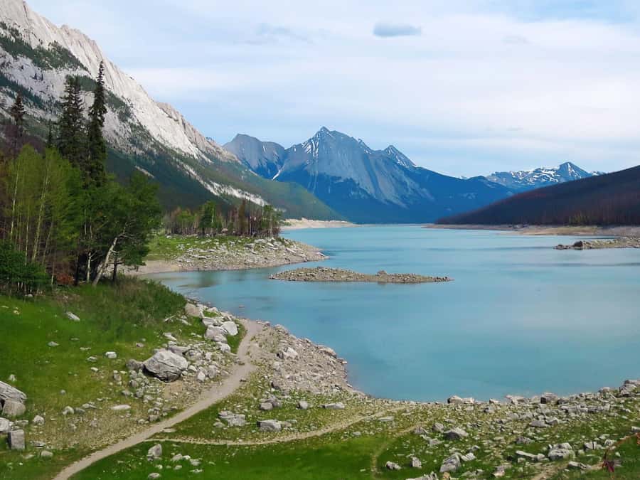 Jasper: Wildlife and Waterfalls Tour with Lakeshore Hike - Is $77 a Fair Price?