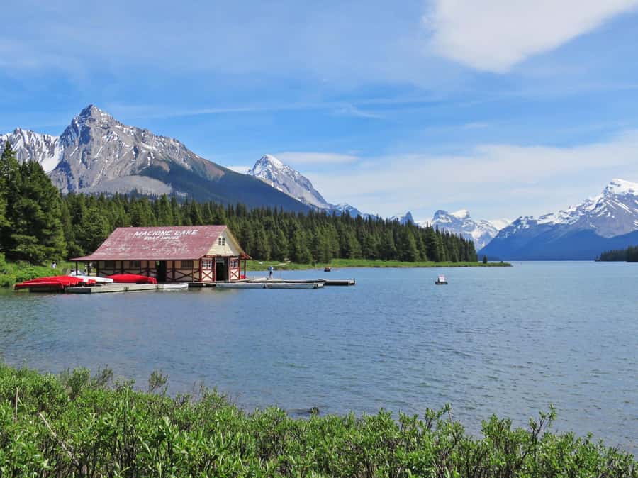 Jasper: Wildlife and Waterfalls Tour with Lakeshore Hike - What to Bring and How to Prepare
