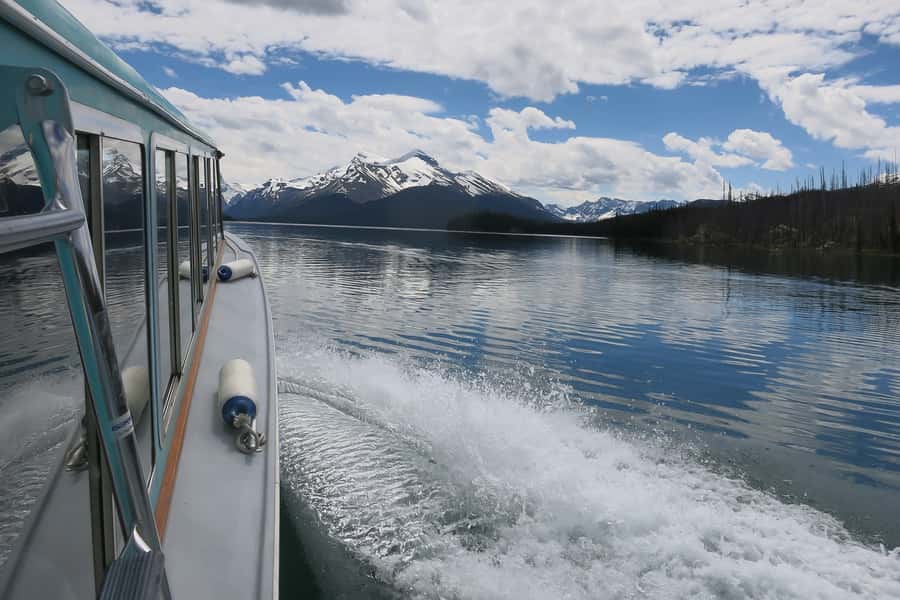 Jasper: Wildlife and Waterfalls Tour with Maligne Cruise - Wildlife watching without false promises