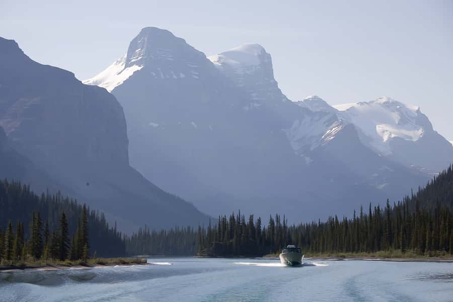 Jasper: Wildlife and Waterfalls Tour with Maligne Cruise - What $155 includes, and what it does not