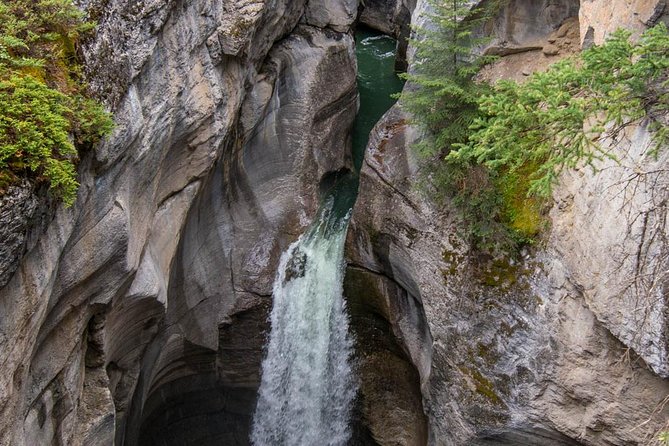 Jasper Wildlife & Sightseeing Tour with Maligne Lake Cruise - From Jasper into the Maligne Valley