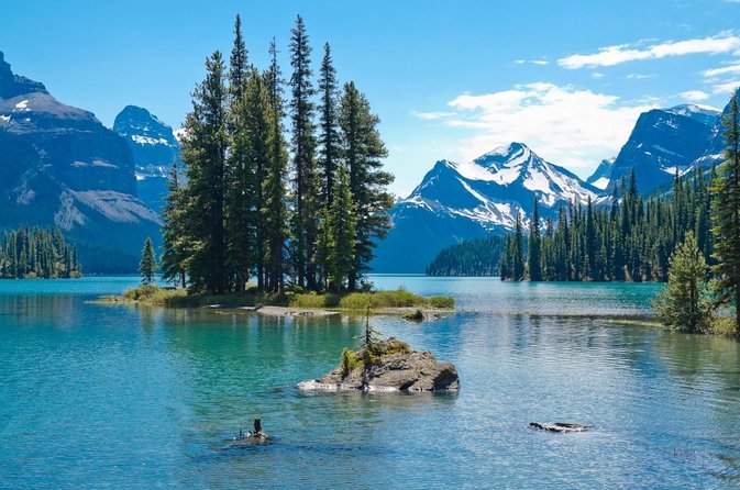 Jasper Wildlife & Sightseeing Tour with Maligne Lake Cruise - Maligne Canyon after the 2024 wildfire