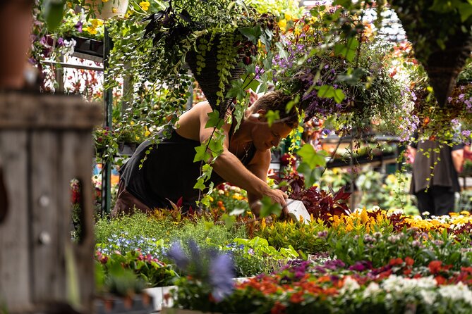 Jean-Talon Market & Little Italy Small Group Walking Tour - A practical way to plan the rest of your day
