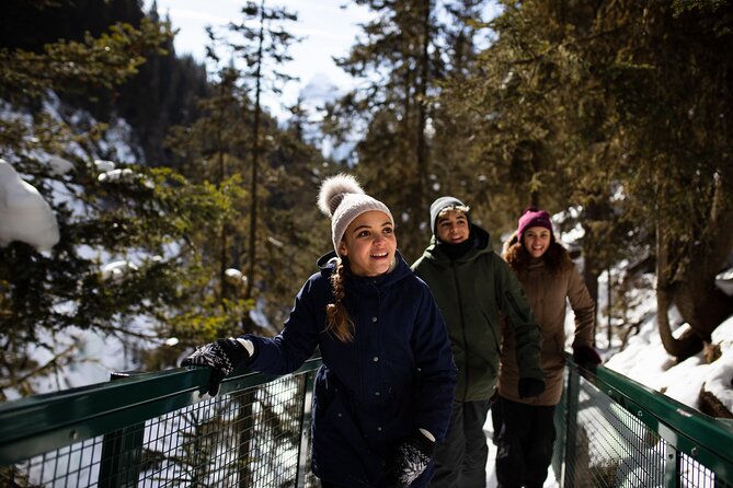 Johnston Canyon Frozen Waterfalls - Small Group Tour - The walk to the Lower Falls
