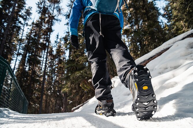 Johnston Canyon Icewalk - Guides Make the Difference