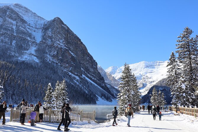 Johnston Canyon, Lake Louise & Banff: Small-Group Day Tour - Castle Mountain adds a scenic road moment