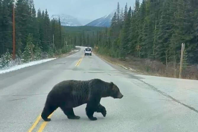 Johnston Canyon, Lake Louise & Banff: Small-Group Day Tour - Vermilion Lakes and Mount Rundle