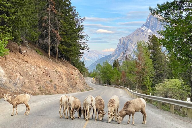 Johnston Canyon, Lake Louise & Banff: Small-Group Day Tour - Bow Falls closes the sightseeing loop