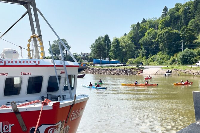 Kayak the Bay of Fundy Sea Caves - Key points to know before booking