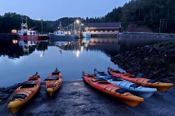 Kayak the Bay of Fundy Sea Caves - What the private format changes