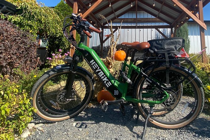 Kelowna E-Bike Bee Tour, Tastings, Organic Lunch & Audio Guide - Meadow Vista Honey Wines and the two-hour stop