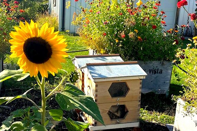 Kelowna E-Bike Bee Tour, Tastings, Organic Lunch & Audio Guide - The self-guided hive and pollinator garden tour