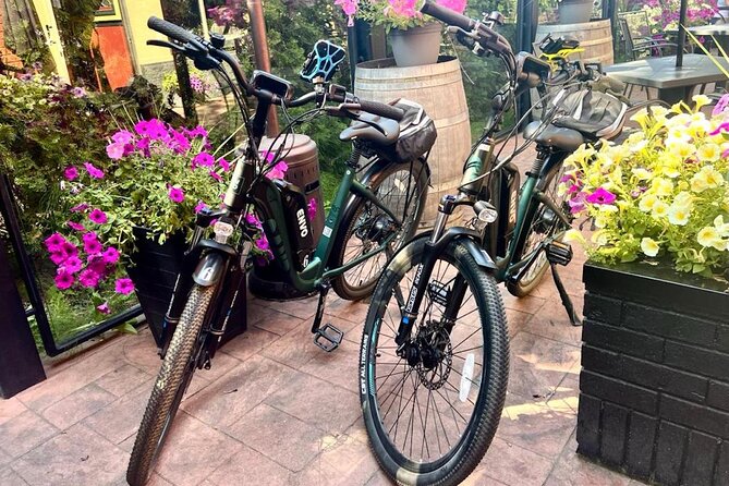 Kelowna E-Bike Bee Tour, Tastings, Organic Lunch & Audio Guide - Weather, timing, and cancellation