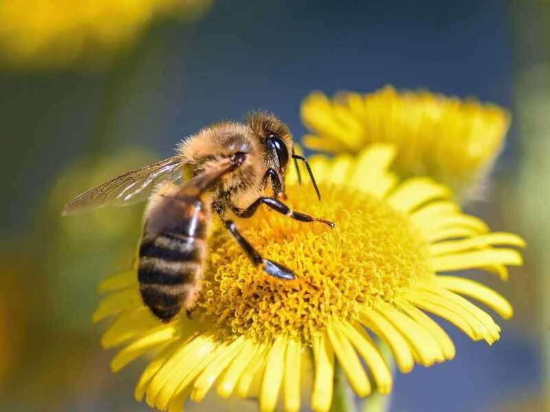 Kelowna: E-Bike Bee Tour w/ Tastings, Lunch, and Audioguide - Key points at a glance
