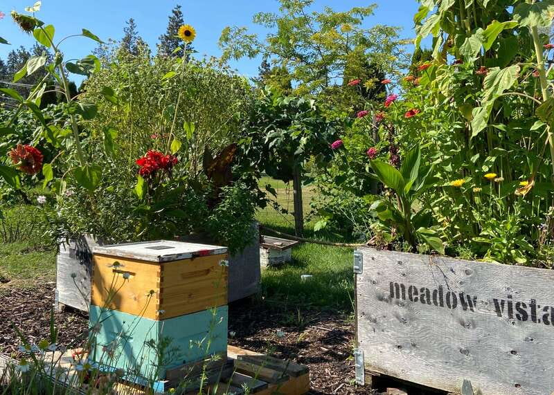 Kelowna: E-Bike Bee Tour w/ Tastings, Lunch, and Audioguide - Meadow Vista’s bees and gardens