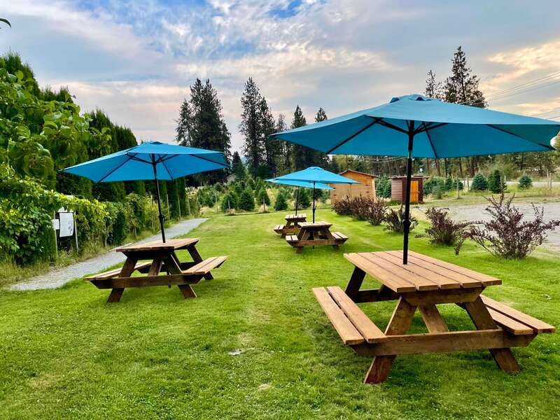 Kelowna: E-Bike Guided Wine Tour with Lunch & Tastings - Priest Creek Family Estate Winery after another 30-minute ride