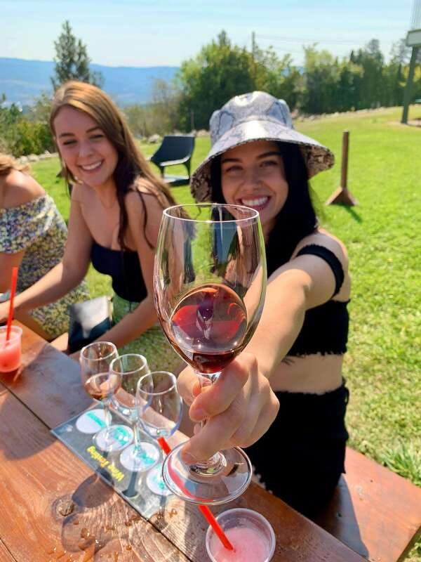 Kelowna: East Kelowna Full Day Guided Wine Tour - The View Winery adds scenery to the tasting
