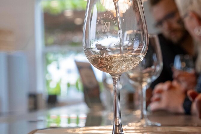 Kelowna Guided E-Bike Wine Tour with Tastings and Okanagan Lunch - Who will enjoy this tour most?