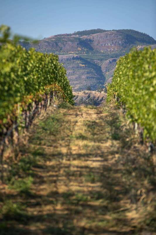 Kelowna: Lake Country Full Day Guided Wine Tour - The guide can shape the day