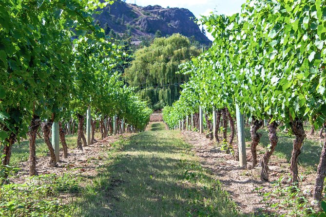 Kelowna or West Kelowna Afternoon Sightseeing Wine Tour - The Kelowna route, from organic wine to art and cider