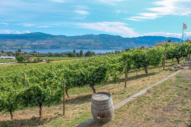 Kelowna or West Kelowna Afternoon Sightseeing Wine Tour - Price, food, and overall value